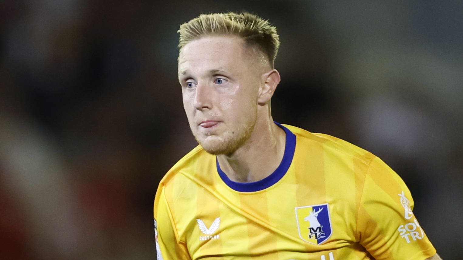 了一项策略 了一项策略